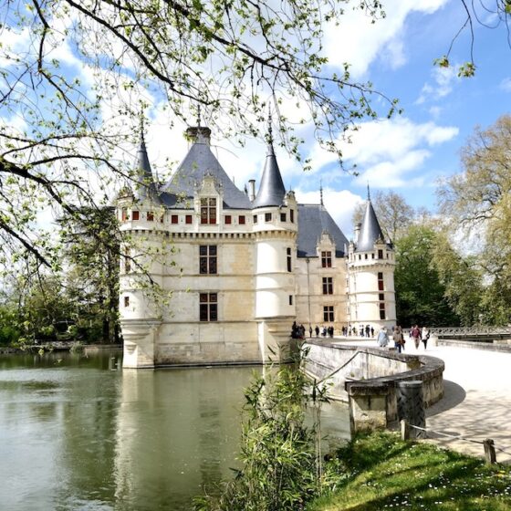 Tour castelli della Loira