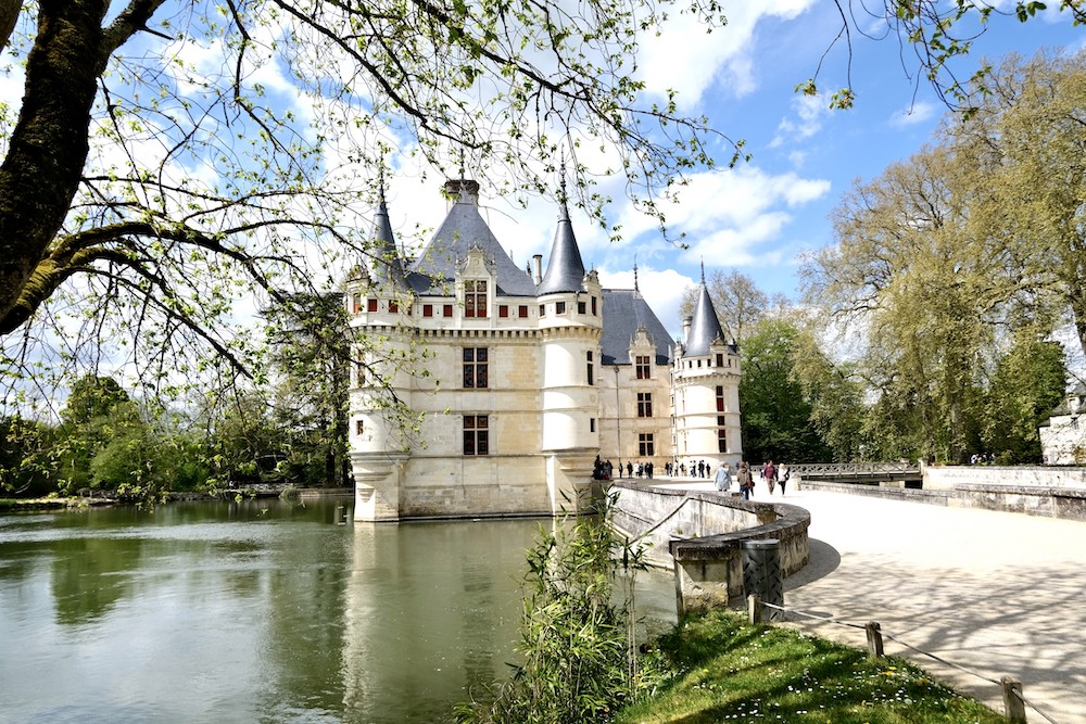 Tour castelli della Loira